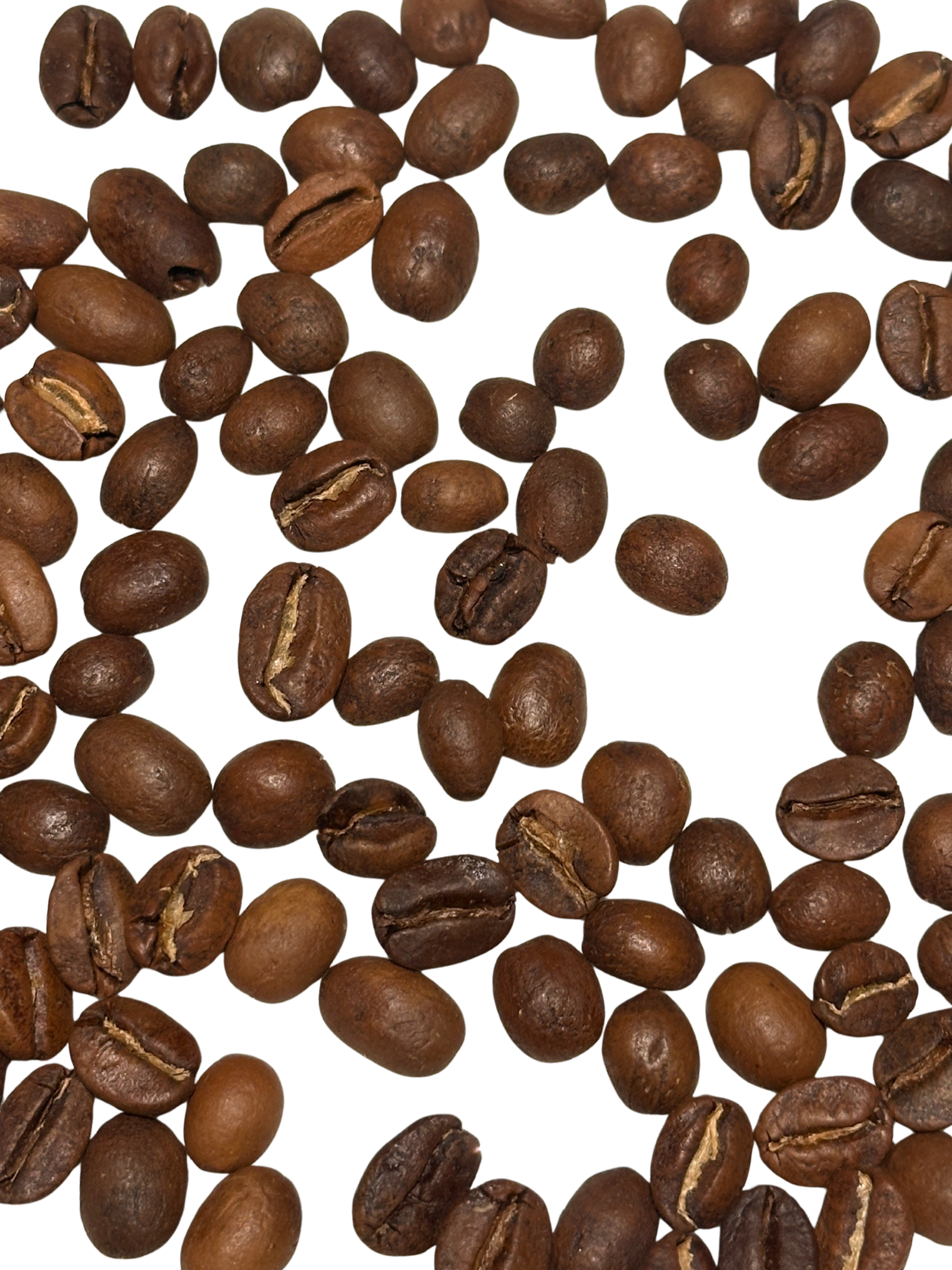 IMG 2710 Edited scaled