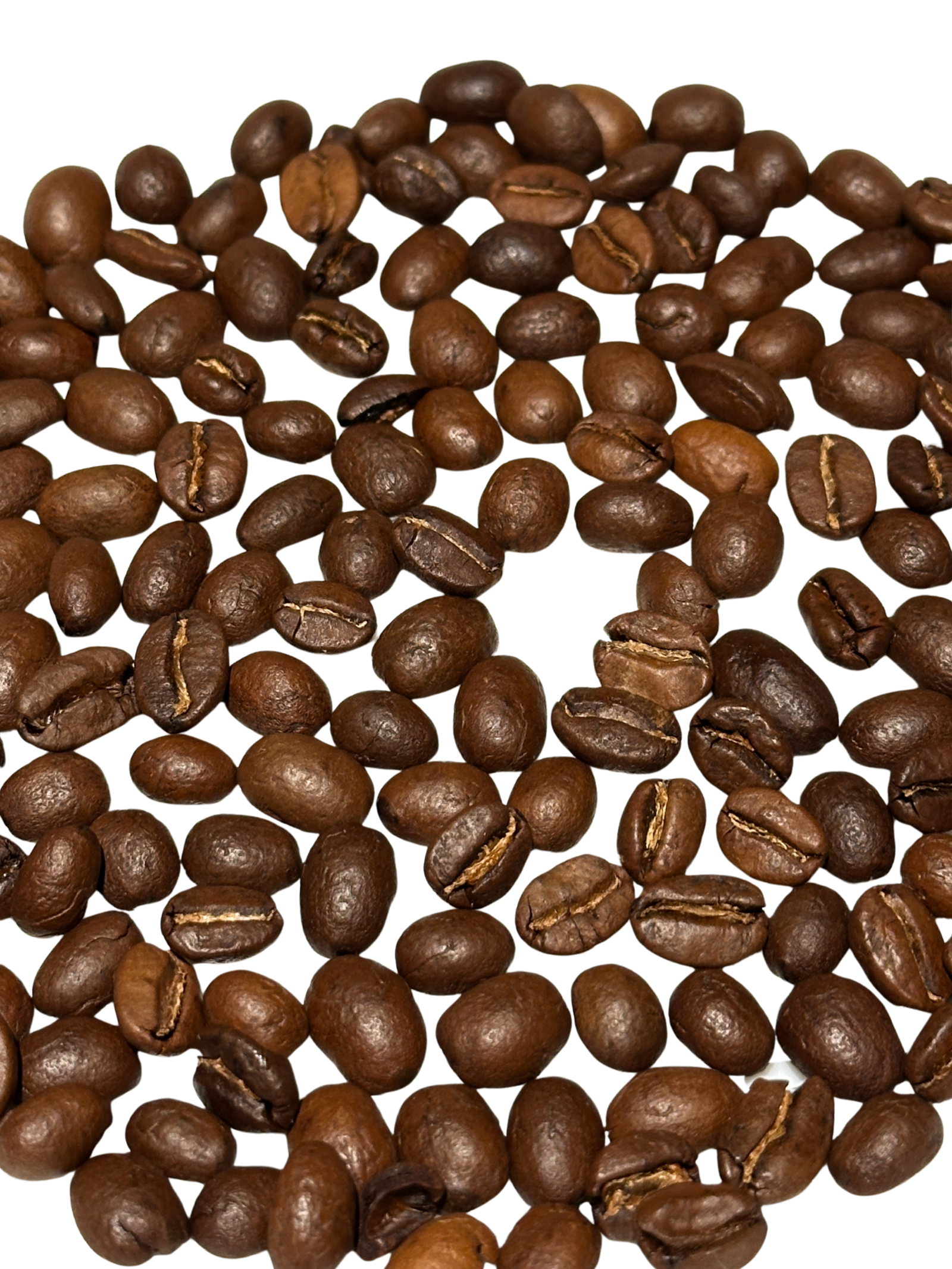 IMG 2750 Edited scaled