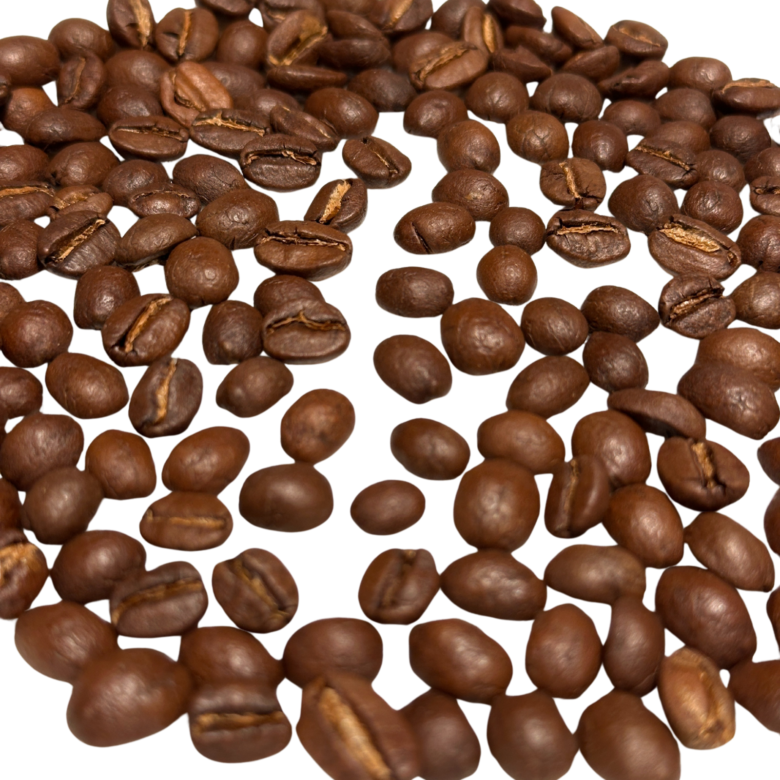 IMG 2811 Edited scaled